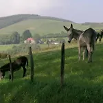 Country house Kasa Barri
